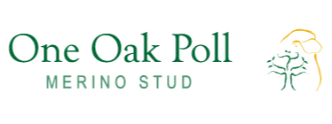 One Oak Poll