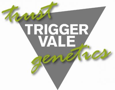 Trigger Vale, Lockhart, On-property sale